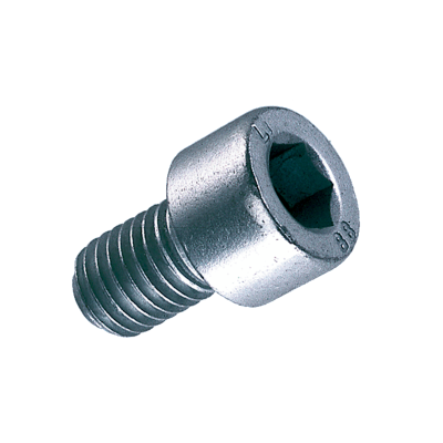 Vis six pans creux M10 | 16 mm | Inox 304